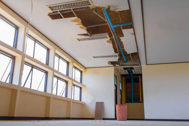 Best 24/7 water damage repair  in San Francisco, CA