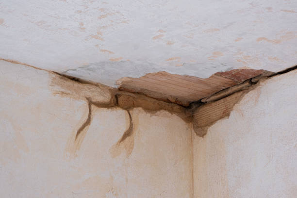 Best Professional water damage repair  in San Francisco, CA
