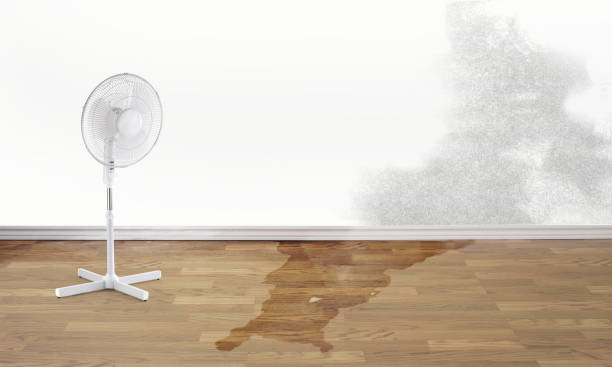Best Flooded house restoration  in San Francisco, CA