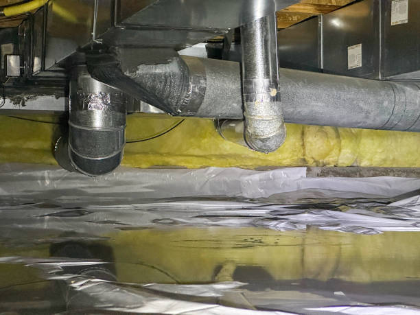 Best Mold removal after water damage  in San Francisco, CA