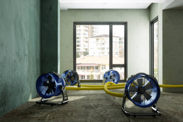 Best Carpet water damage restoration  in San Francisco, CA